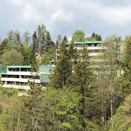 Apartment Harzblick -NEU MODERNISIERT- Sankt Andreasberg Exterior foto