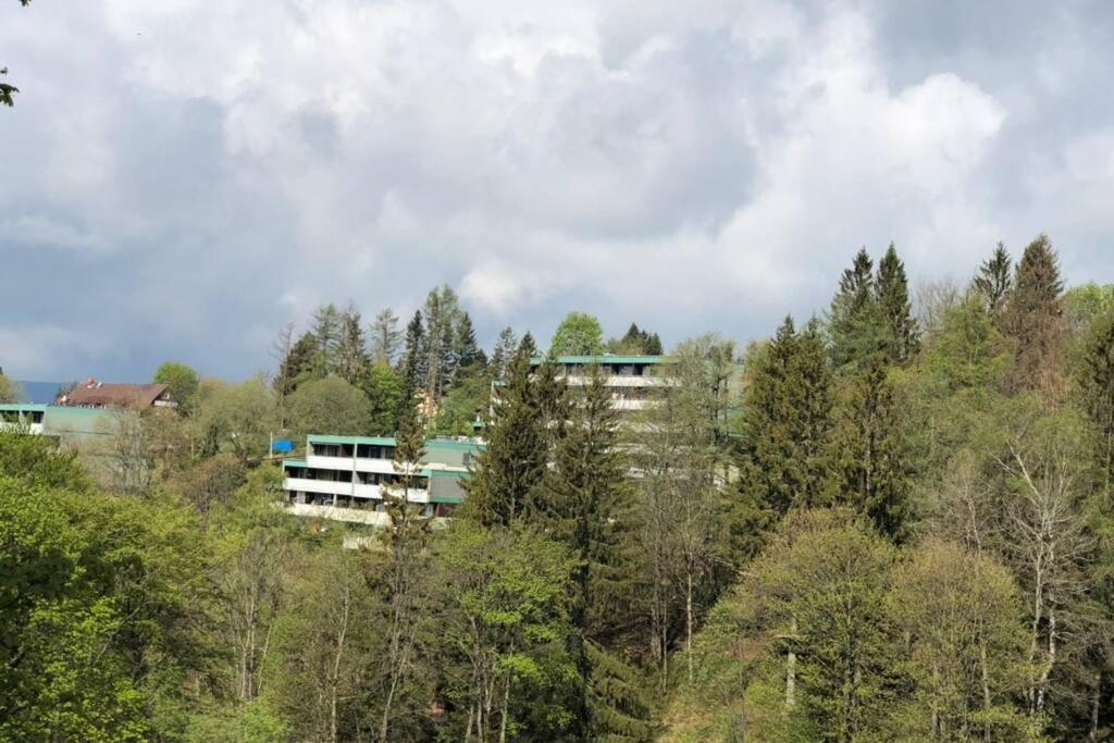 Apartment Harzblick -NEU MODERNISIERT- Sankt Andreasberg Exterior foto
