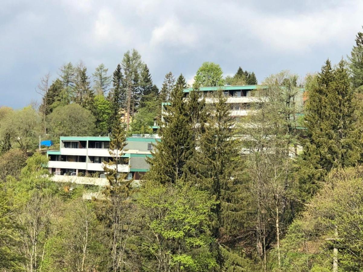 Apartment Harzblick -NEU MODERNISIERT- Sankt Andreasberg Exterior foto